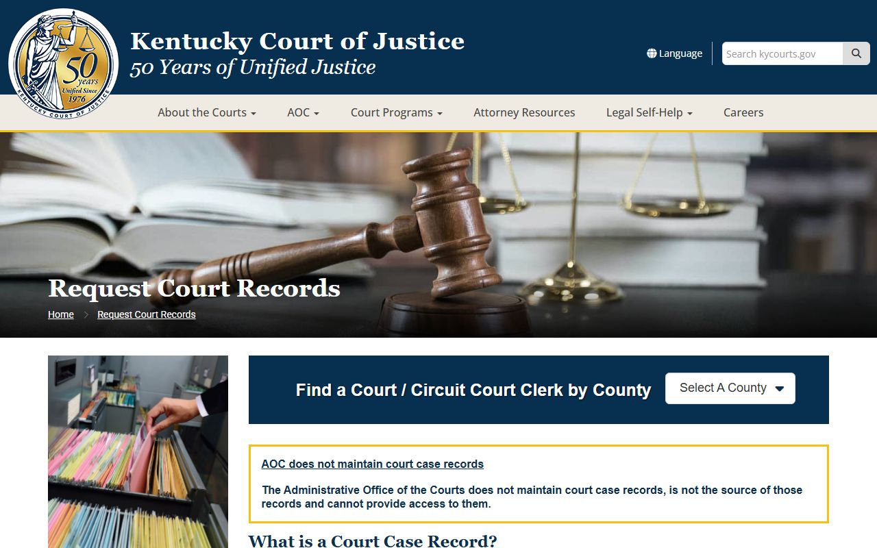 Butler County court records request instructions